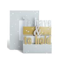 3D To Have & To Hold Wedding Card