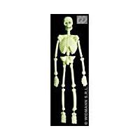 3d Gid Lab Skeletons 92cm Accessory For Halloween Living Dead Fancy Dress