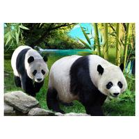 3d Fm Portrait Panda