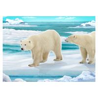 3d Fm Polar Bear