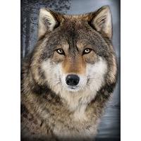 3d Wolf Portrait Fridge Magnet