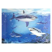3d Poster Sharks