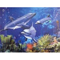 3d Poster Dolphins