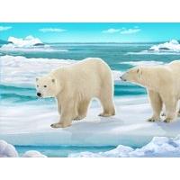 3d Poster Polar Bear