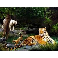 3d Poster Tiger