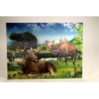 3d Poster Moose