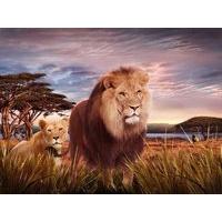 3d Poster Lion