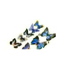 3D Beautiful Butterfly Stickers Black/Blue