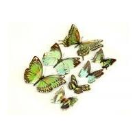 3D Beautiful Butterfly Stickers Green/Orange