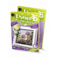 3d Living Picture Honey Flavor Craft Kit