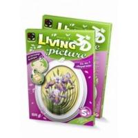 3d Living Picture Royal Iris Craft Kit