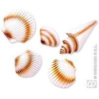 3d Seashells 5pc