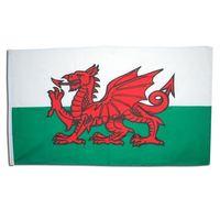 3ftx 5ft Cloth Welsh Flag