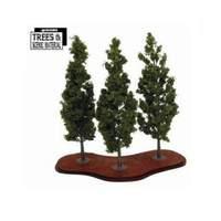 3x Large Poplar Trees