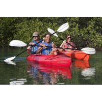 4 hour wildlife refuge kayak and backcountry snorkel tour