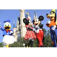 4-Day Paris Break from Brighton including Disneyland Paris and Walt Disney Studios Park