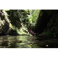 4-Hour Canyoning Trip in The Crags