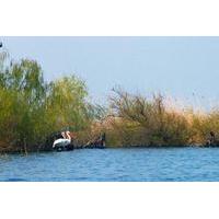4-Day Danube Delta Tour: Stay At the Fisherman\'s house