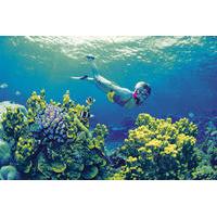 4-Day Cairns and Great Barrier Reef Tour