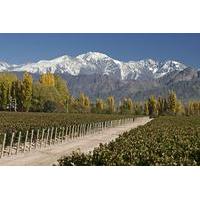 4 day trip to mendoza by air from buenos aires