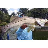 4-hour Homosassa Inshore Fishing Trip