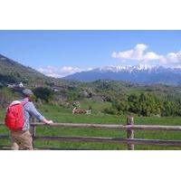 4-Day Trekking Tour in the Carpathians: Bucegi Natural Park and Piatra Craiului National Park