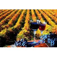 4-Day Wine Tour in Moldova from Chisinau