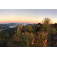 4-Day South East Queensland Scenic Rim and Spicers Peak Lodge Walking Trip from Clumber
