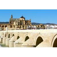 4 day spain tour cordoba seville and granada from madrid