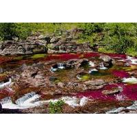 4 day tour to cao cristales from medellin