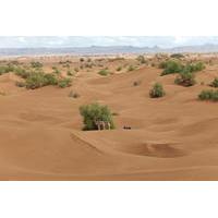 4 Day Desert and Draa Valley Day Trip From Mhamid