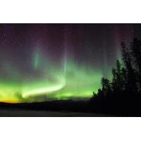 4-Day Yukon Aurora Viewing Tour