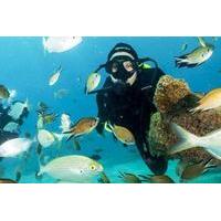 4-Dive Scuba Adventure in Fuerteventura