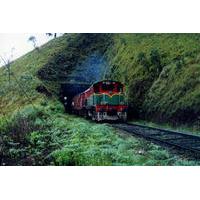 4-Day Rail Tour: Sri Lanka Countryside