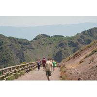 4-Hour Mt Vesuvius Tour from Sorrento