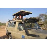 4 Day Luxury Safari Lake Manyara Serengeti and Norongoro