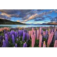 4-Day Great Southern Island Circle Tour from Christchurch