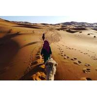4-Day Private Tour from Marrakech to Fez Through Merzouga Desert