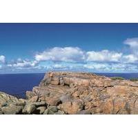 4-Day Tour from Perth Including Margaret River, Valley of the Giants Tree Top Walk and Albany