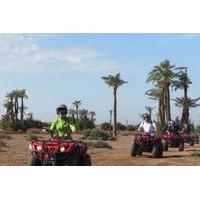 4-Hour Excursion from Marrakech to the Palm Grove