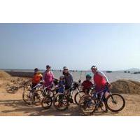 4-Day Bike Tour of Cambodia\'s Pepper Route from Phnom Penh