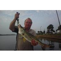 4 hour cape coral inshore fishing trip