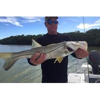 4 hour marco island inshore fishing trip