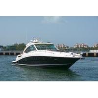 4 Hour Private Charter On A 48\' Searay Sundancer Luxury Yacht