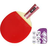 4 Stars Ping Pang/Table Tennis R...