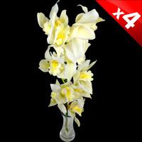 4 Classic White Cymbidium Orchids