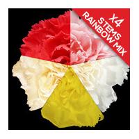 4 Classic Mixed Carnations