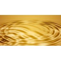 4 Gold Facial Treatments