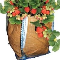 4 Strawberry Planters