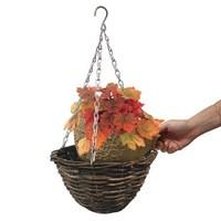 4 Heuchera Redstone Falls Hanging Basket Autumn Inserts Rattan